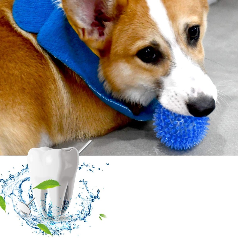 Pet Toy Ball for Cats And Dogs - Interactive Squeaky Plush Dog Toy 评论和价格