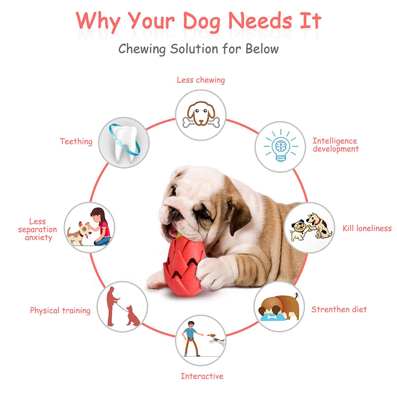 Benepaw Indestructible Pitaya  - Indestructible Dog Chew Toy 评论和价格