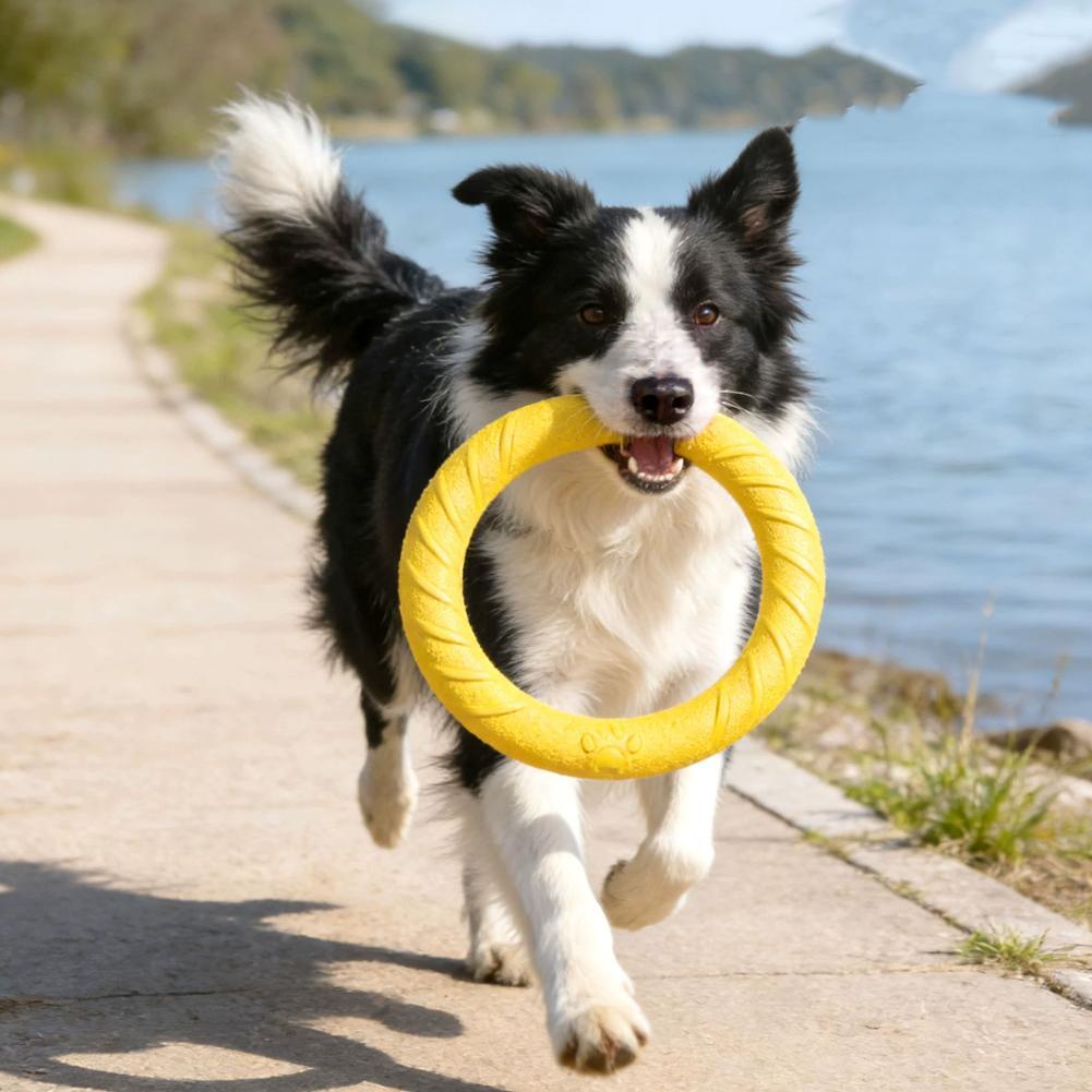 Dog Ring Toys Indestructible C - Indestructible Dog Chew Toy 评论和价格