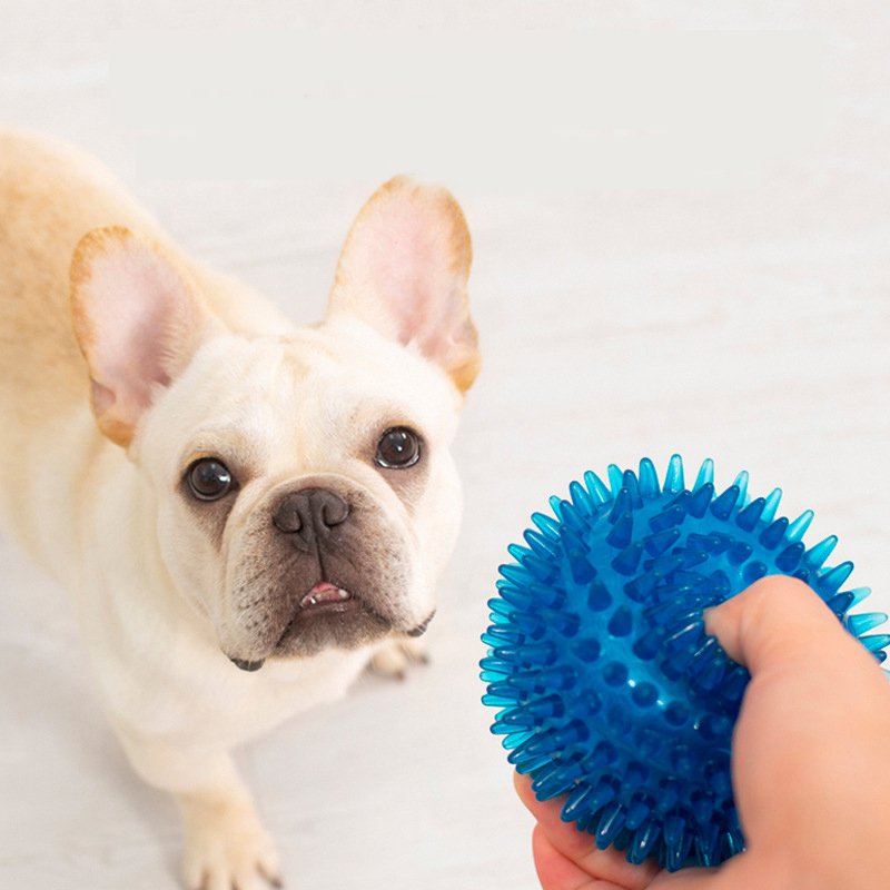 High Elasticity French Bulldog - Interactive Squeaky Plush Dog Toy 评论和价格