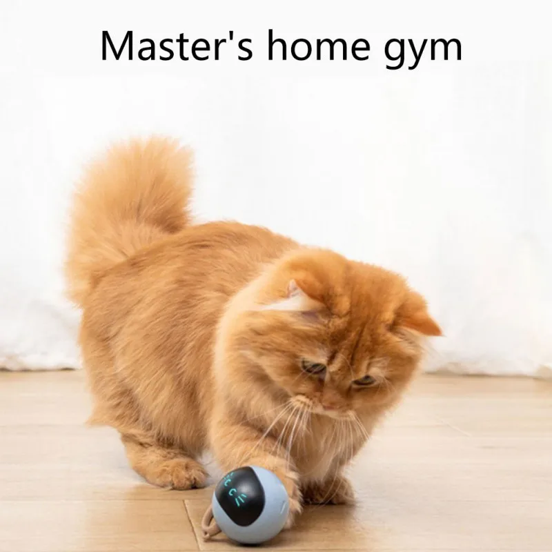 Interactive Cat Ball Toy USB R - Automatic Moving Dog Ball 评论和价格