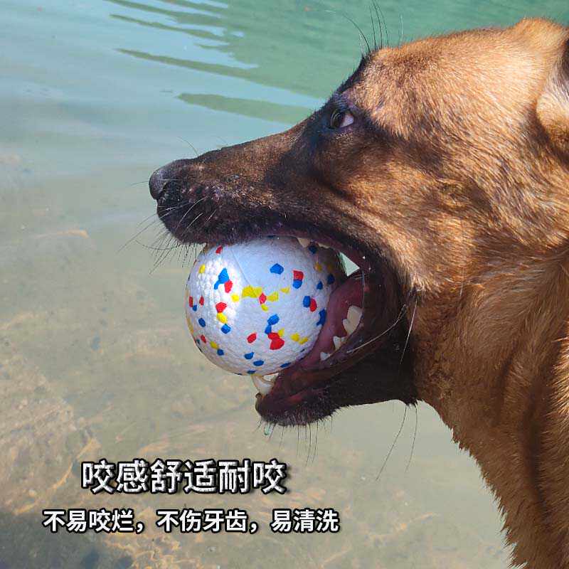 Pet Toy Solid Ball Bite Resist - Dog Toys 评论和价格
