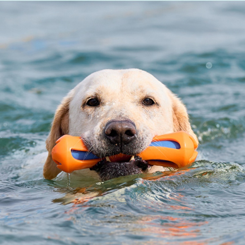 2026 Hot Selling Floating Dog  - Indestructible Dog Chew Toy 评论和价格