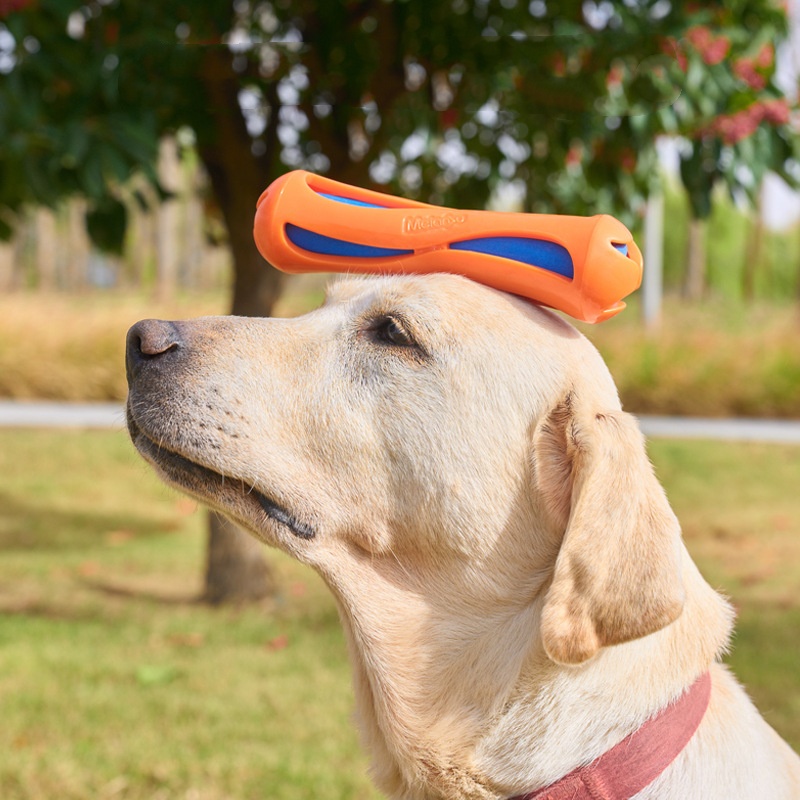 2026 Hot Selling Floating Dog  - Indestructible Dog Chew Toy 评论和价格