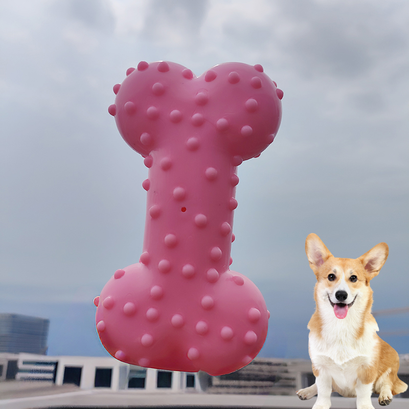 Dog Toy Rubber Sound Making Ch - Teeth Cleaning Dog Chew Bone 评论和价格