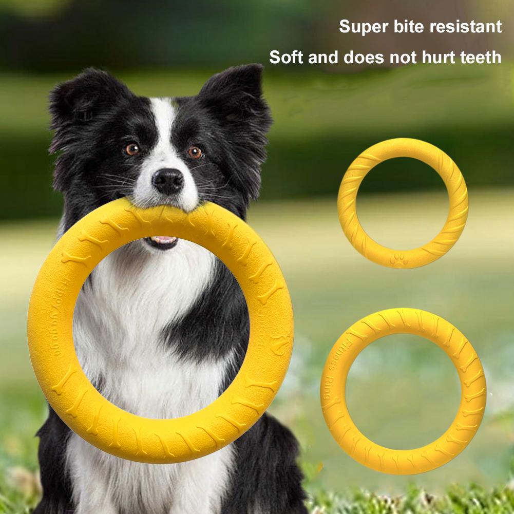 Dog Ring Toys Indestructible C - Indestructible Dog Chew Toy 评论和价格